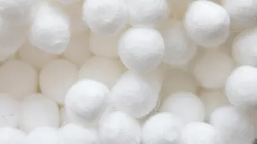 Egyptian Cotton
